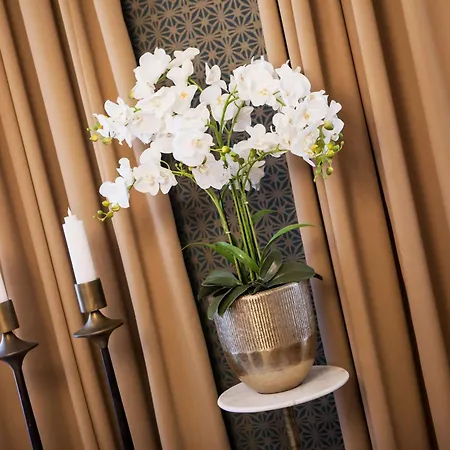 Mestsky Dumbier Brezno